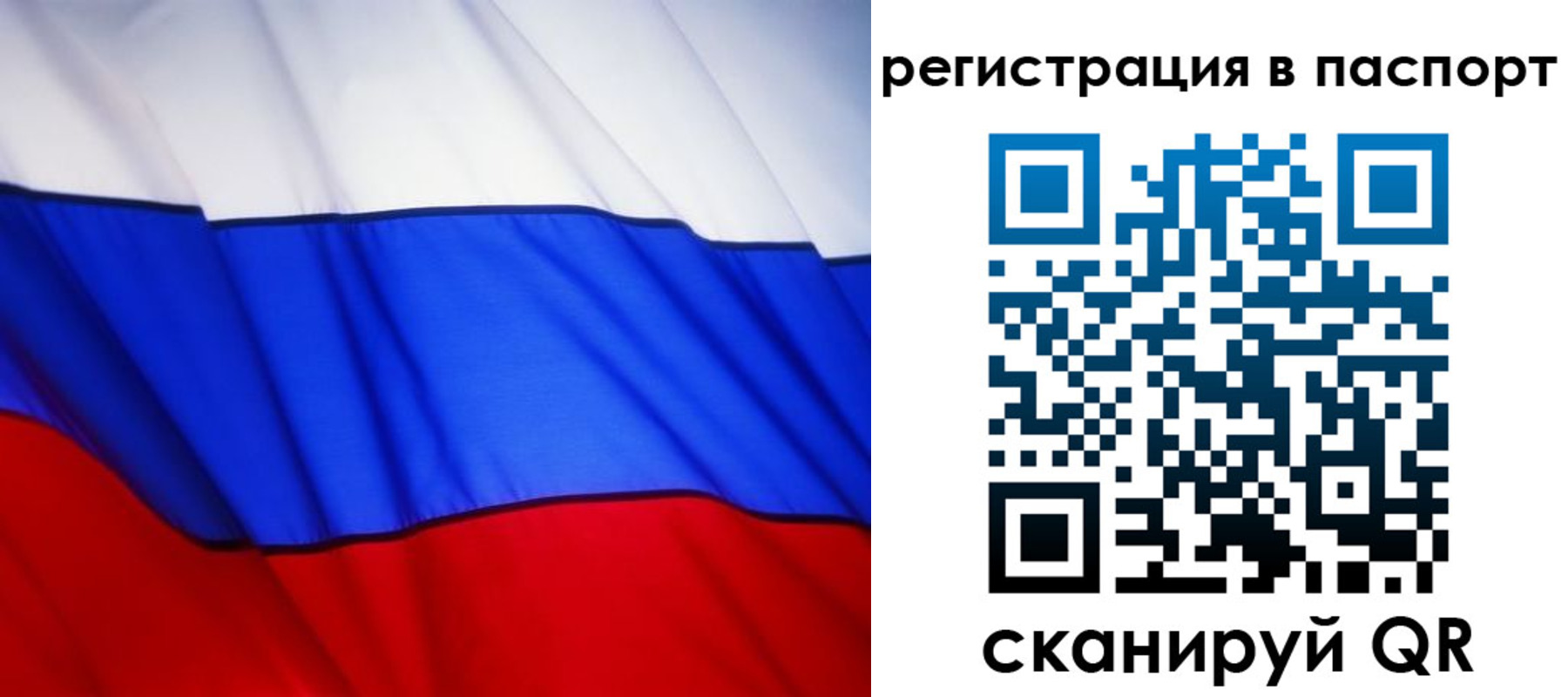 прописка 2025 в Пионерском